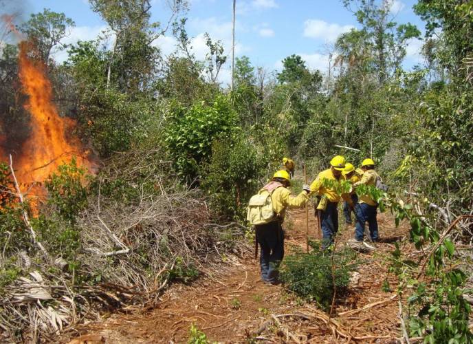 Q. Roo susceptible a incendios forestales en 2015: Conafor