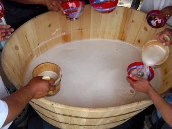 El pulque estimula el sistema inmunológico
