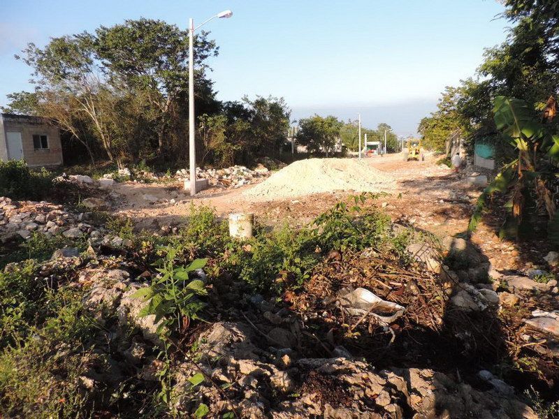 Colonos de la Rojo Gómez en FCP piden al “Pato” Carballo que petrolicen toda una calle