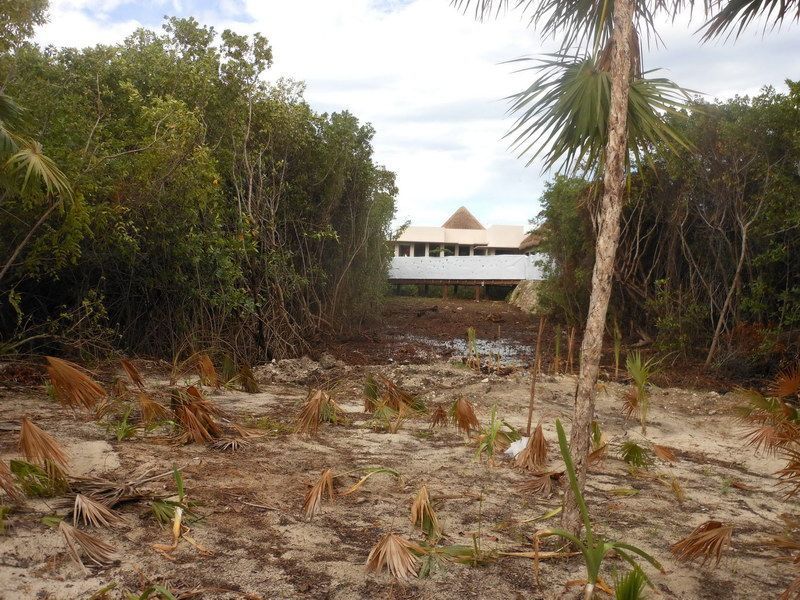 Impune Ecocidio En Playa Del Carmen