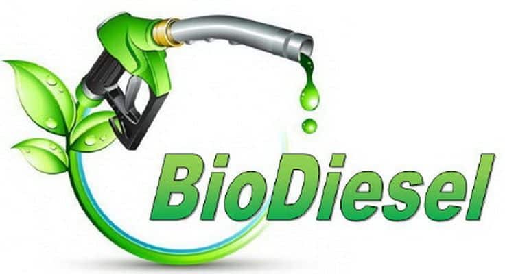 Q. Roo será pionero en Producción de Biodiesel