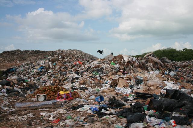Listo Revalue para hacerse cargo del basurero de Chetumal