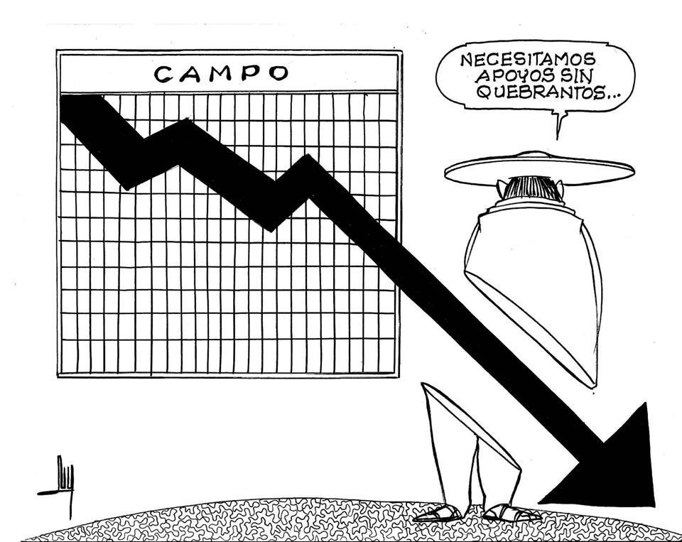 LUY: La esperanza #caricatura