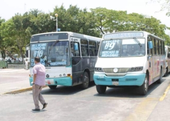 Regidores pugnan por tarifas de transporte justas
