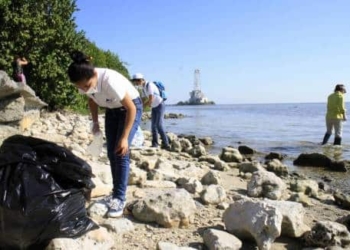 Ecosistemas de la Bahía en peligro por desechos tóxicos
