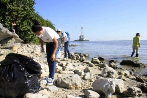Ecosistemas de la Bahía en peligro por desechos tóxicos