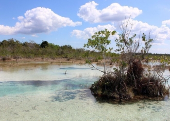 Buscan nombramiento internacional de Bacalar por la riqueza de su ecosistema