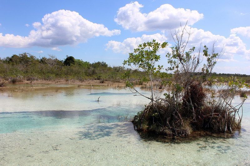 Buscan nombramiento internacional de Bacalar por la riqueza de su ecosistema