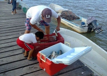 Veda complica situación de pescadores de Holbox y Chiquilá