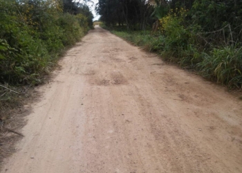 Productores piden apoyo para mejorar caminos saca cosechas
