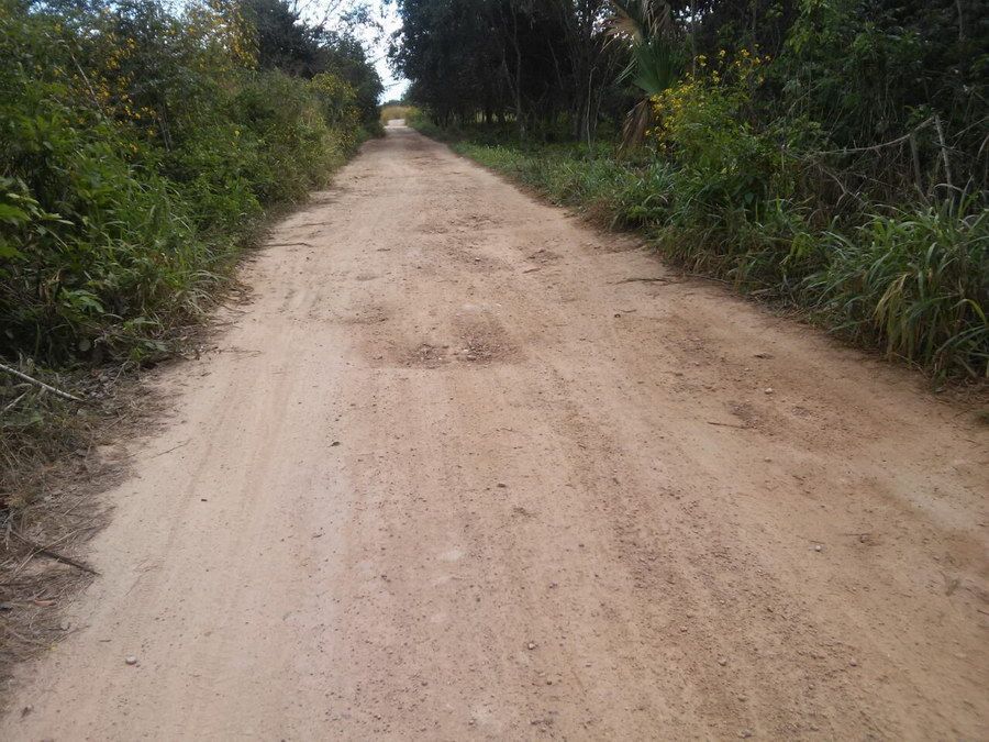 Productores piden apoyo para mejorar caminos saca cosechas