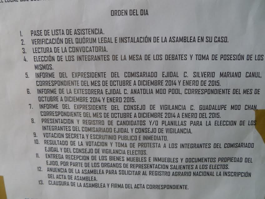 4 buscan ser los “macizos” del ejido Kantunilkin