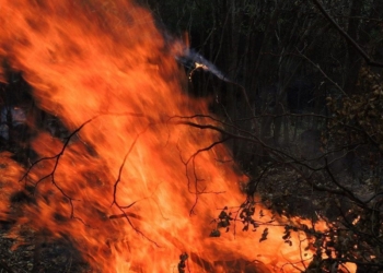Mega necesario comité contra incendios en Lázaro Cárdenas