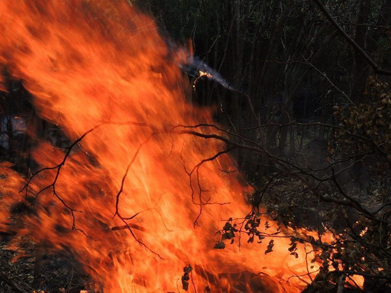 Mega necesario comité contra incendios en Lázaro Cárdenas