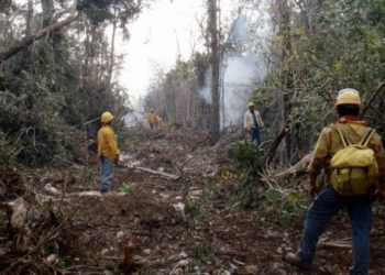  Exhorta Conafor tener cuidado para evitar incendios