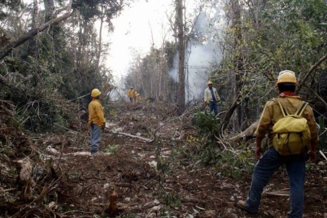  Exhorta Conafor tener cuidado para evitar incendios