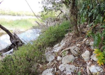 Ejidatarios del Cedral solicitan apoyo del INAH para reactivar sitios arqueológicos