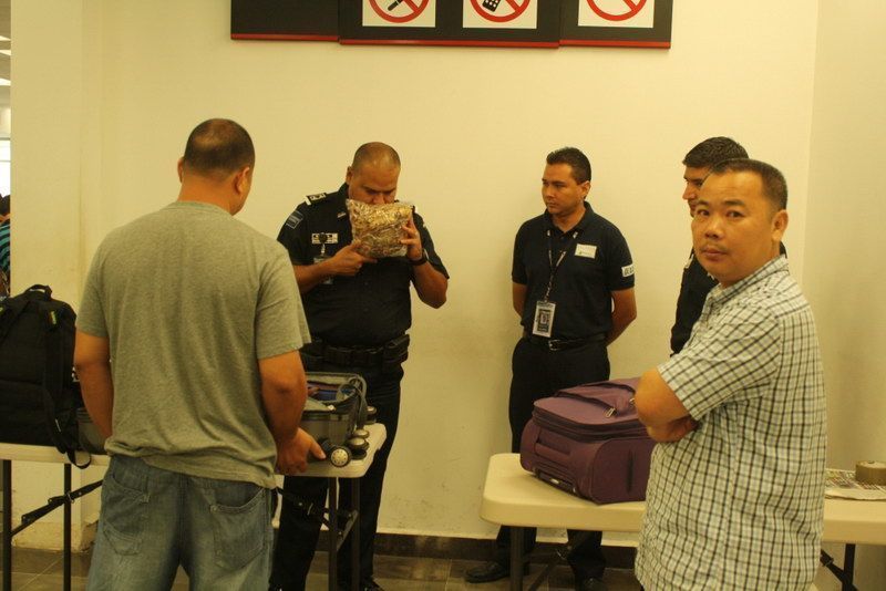 Detenidos y posteriormente libres, par de chinos en aeropuerto de Chetumal por transportar pescado deshidratado