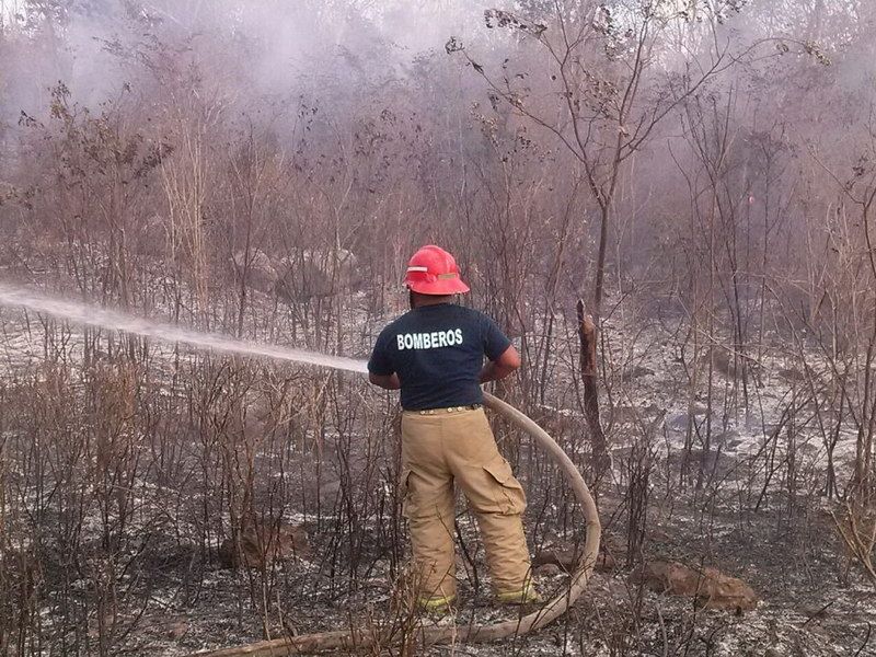 Sofocan dos incendios en Zona Maya de Quintana Roo