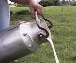 Por falta de comercialización, lecheros de la zona limítrofe tiran decenas de litros de leche