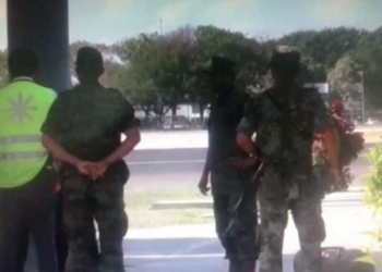 Fallan los caninos del Ejército, mal olfatean medicamentos por droga en aeropuerto chetumaleño