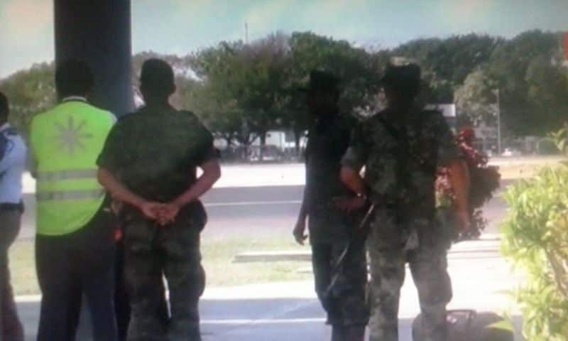 Fallan los caninos del Ejército, mal olfatean medicamentos por droga en aeropuerto chetumaleño