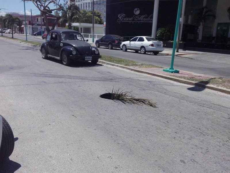 Enorme bache se suma a inventario de la Comuna Capitalina