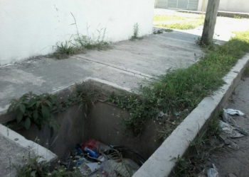Reconoce Sema deficiente manejo de la basura en Quintana Roo