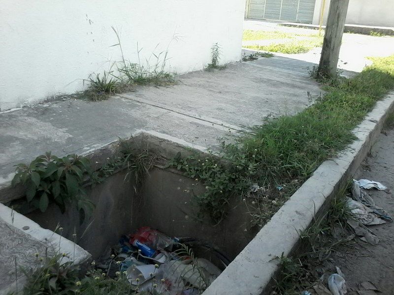 Reconoce Sema deficiente manejo de la basura en Quintana Roo