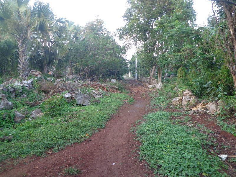 Abandonados los habitantes de San Martiniano