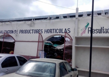 Monopolio, pasión y abandono en el Mercado del Productor Xunaan’Cab