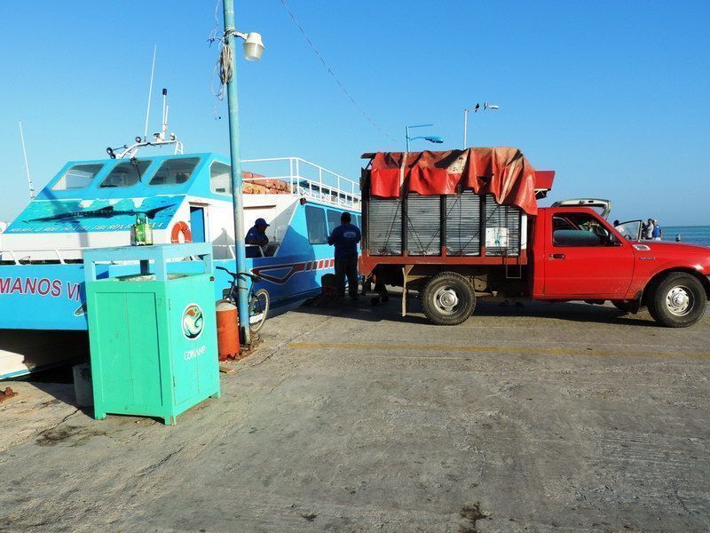 A la víspera de semana santa, capitanía de puerto de Holbox toma previsiones