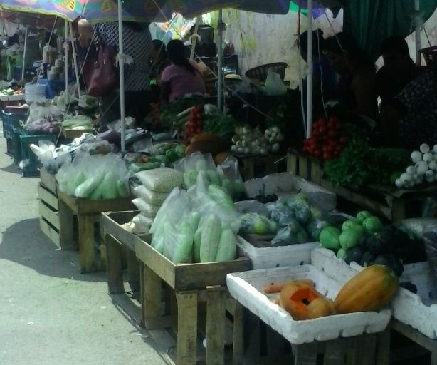 Pequeños productores rurales comercian sus productos en Chetumal a bajo costo