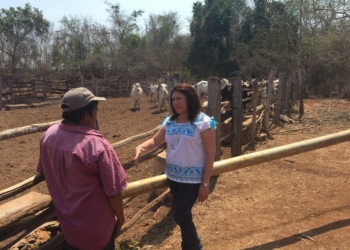 Con los campesinos, la prioridad debe ser productiva, no electorera: Rosa Adriana Díaz Lizama
