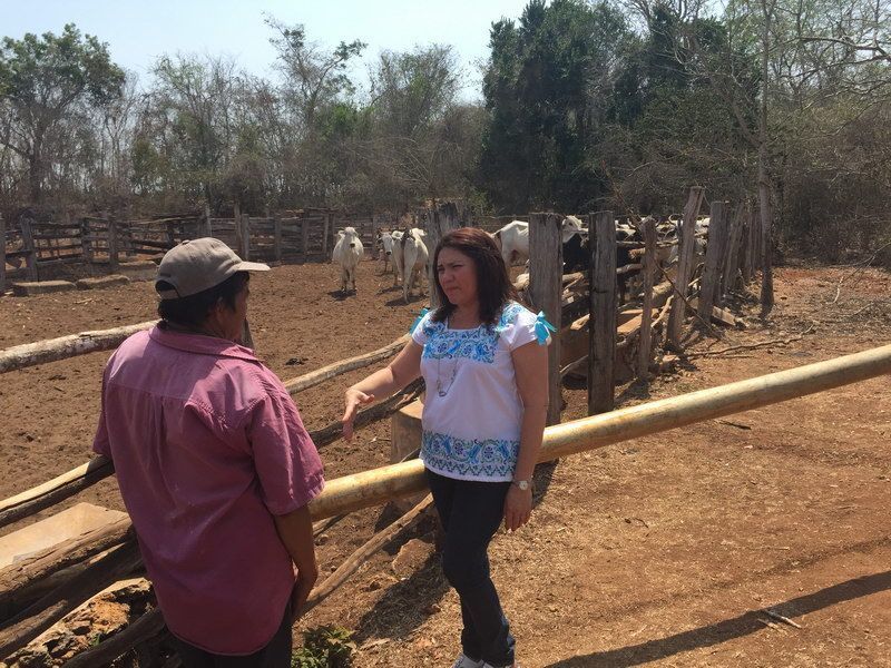 Con los campesinos, la prioridad debe ser productiva, no electorera: Rosa Adriana Díaz Lizama