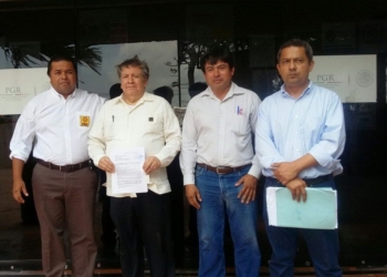 Insiste el PRD sobre actos indebidos de precampaña del Verde