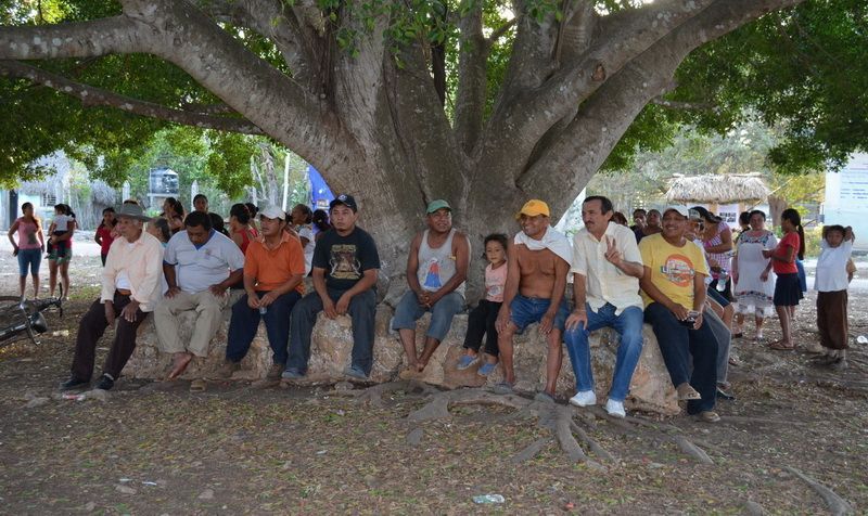 Trabajo realizado como presidente la mejor carta de Presentación de Domingo Flota en JMM