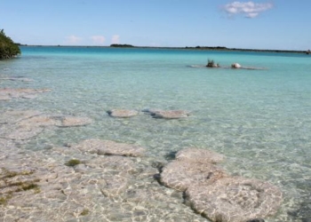 Xul-Há reclamará derecho de “los rápidos” a Bacalar