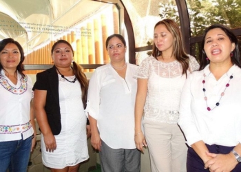 Ilocalizable la desconocida candidata del PH en el II distrito, hasta ahora no sale a la calle