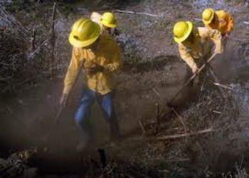 Peligro Inminente por Incendios Forestales