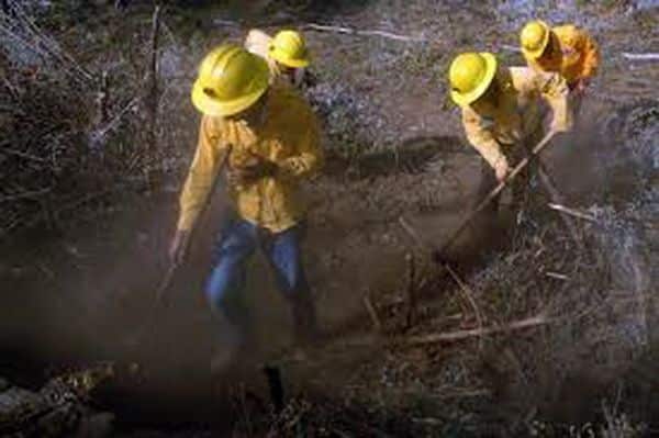 Peligro Inminente por Incendios Forestales