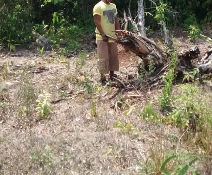 Se consuma onceavo suicidio en sur de Quintana Roo