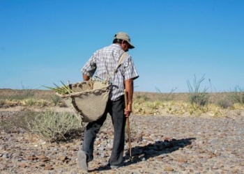  Sequía obligará a labriegos posponer siembra de maíz, frijol y calabaza