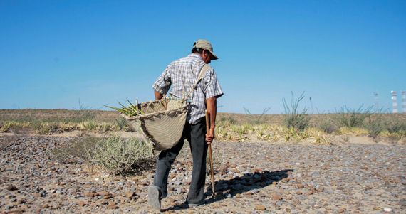  Sequía obligará a labriegos posponer siembra de maíz, frijol y calabaza
