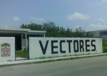 Por falta de personal, en Quintana Roo existe el riesgo que se propague el dengue y paludismo