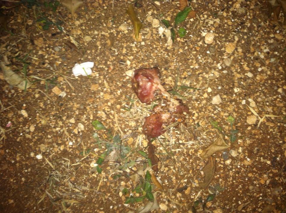 carne