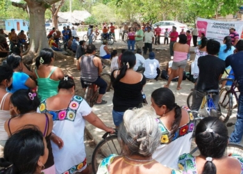 Comercialización De Cosechas Sin Intermediarios: Morcillo