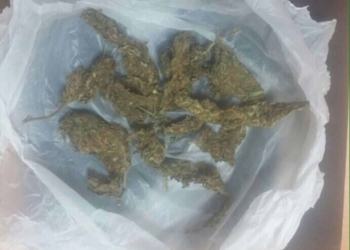 Detienen a un mariguano