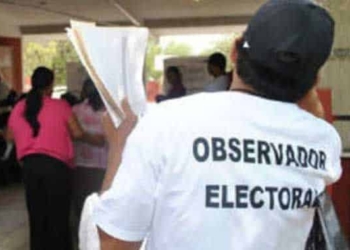 Brillan por su ausencia observadores electorales