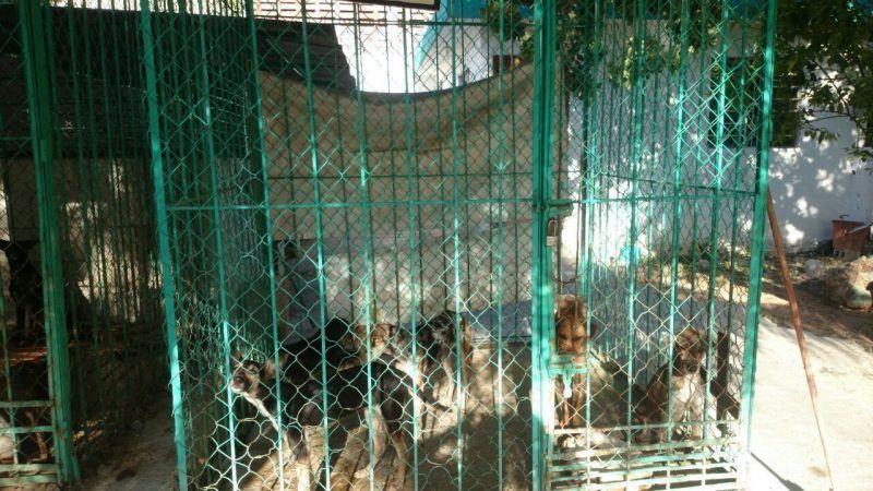 El ayuntamiento de OPB los trata “como perros”
